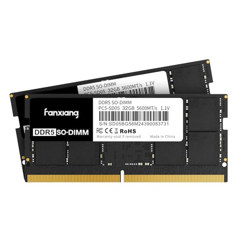 Fanxing SODIMM RAM DDR5 64GB (2x32GB) 5600MHz