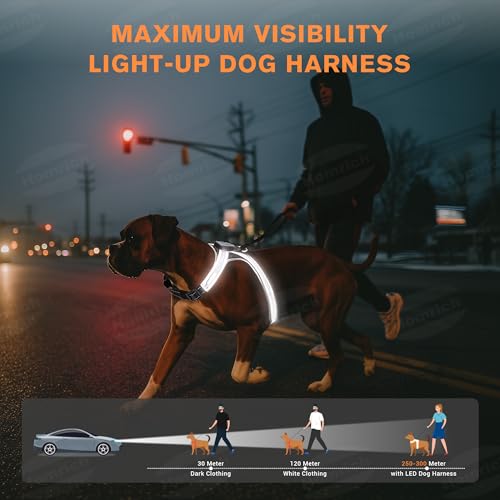 LED Leuchtgeschirr für Hunde - Aufladbar & Reflektierend Hundegeschirr, 3-Lagiges Air Mesh für Atmungsaktivität & Komfort, Verstellbar für Mittelgroße bis Große Hunde, Nachtsicherheit für Spaziergänge