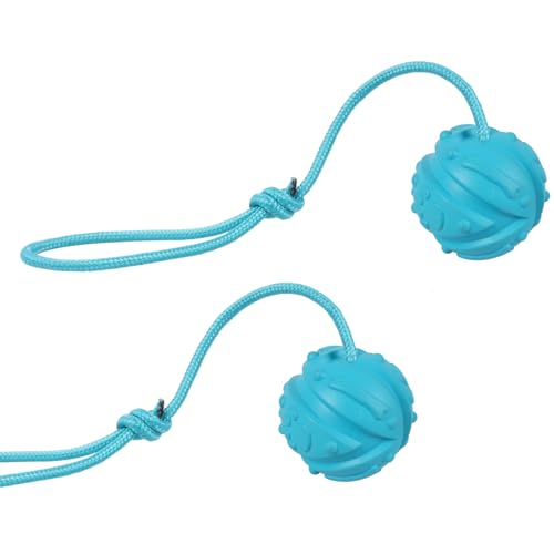 Dog Training Ball on Rope, 2Pcs Dog Rope Toys Ball Exercise and Reward Toy for Dogs for Chew Training Pull Throw Toy tug Toy Dogs Fetch Toys Dog Training Ball on Rope, 2Pcs Dog Rope Toys Ball Exercise and Reward Toy for Dogs for Chew Training Pull Throw Toy tug Toy Dogs Fetch Toys
