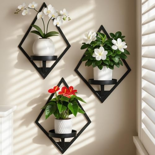 3 Pack Wall Planters for Indoor Plants Plant Holders Plant Stand ...