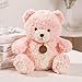 Jorkei 9.8 Inch Soft Teddy Bear Plush Toy, Cuddly Stuffed Animal for Kids & Toddlers, Brown Fluffy Plushie, Gift for Birthday, Valentine's Day, Christmas (Pink)