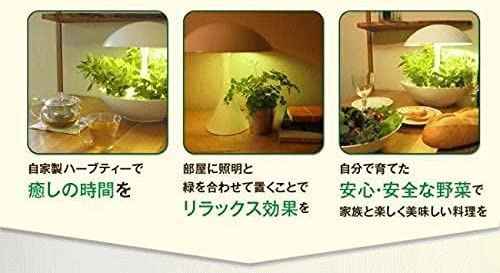 Amazon｜アカリーナ akarina01 Terrara 灯菜 LED水耕栽培器 野菜栽培