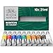 Winsor & Newton Winton Oil Colour Paint Basic Set, Ten 21ml Tubes