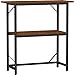 Snughome 10-30 Gallon Fish Tank Stand, Aquarium Stand 2-Tier Storage Shelves, Heavy Duty Terrarium Stand for Home Office Fish Tank Shelf, 30