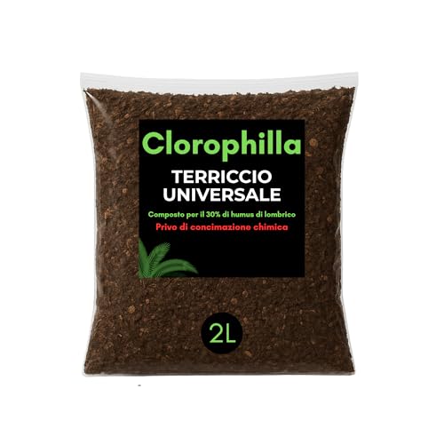Clorophilla Terriccio Universale per Piante Verdi da Interno ed Esterno – con Lapillo, Pomice e 30% Humus di Lombrico – Substrato Drenante e Arieggiato – 2Litri - 6Litri - 25Litri (2 Litri)