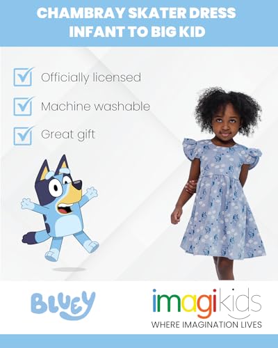 Bluey Floral Chambray Skater Dress Infant to Big Kid4