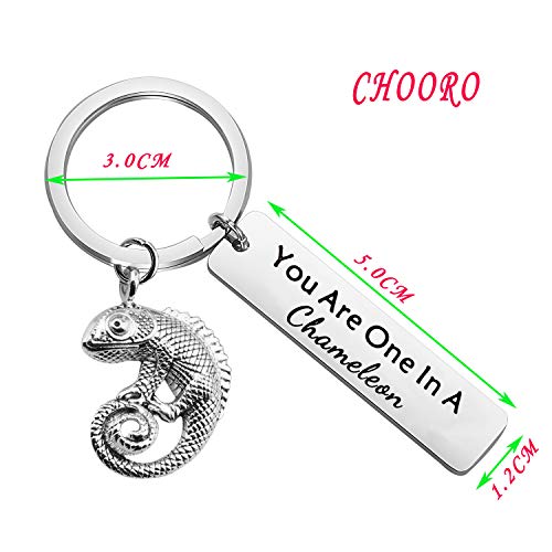 CHOORO You Are One In A Chameleon Keychain Chameleon Pendant Jewelry Happy Anniversary Birthday Valentine's Day - Image 3