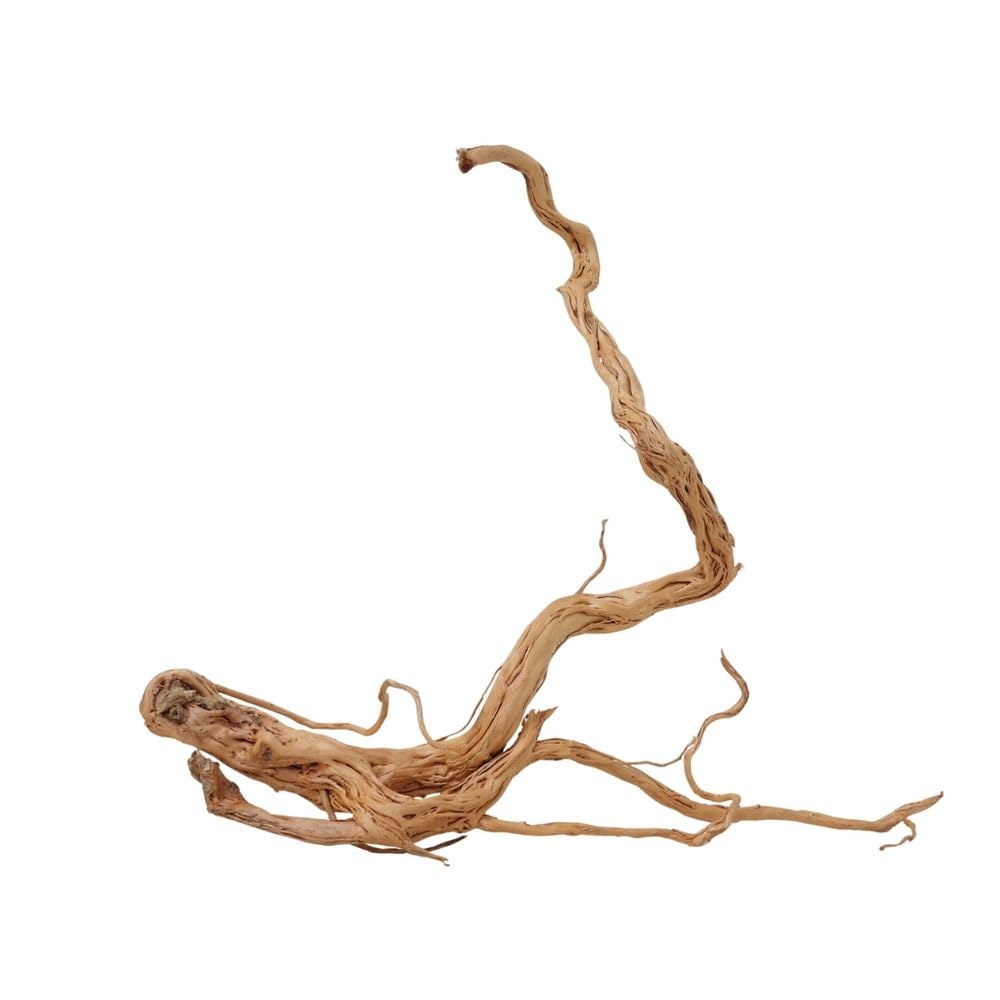 AquaOne Decorazione per acquario, radice di drago, misura XL, in vero legno, n. 2169, decorazione per piante e paesaggio, muschio naturale