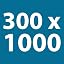 300 x 1000 mm