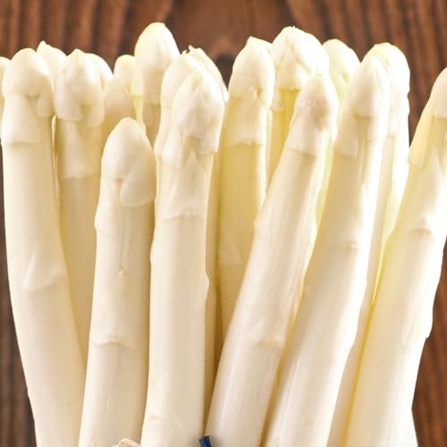 ywszkCY zCgAXpKX 1kg (2L-3LTCY/①i) { VN AXp AXp AXpKX zCgAXp kC  