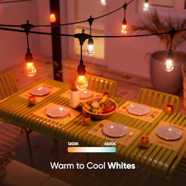 Nanoleaf Essentials Matter Smart Multicolor Outdoor String Lights Smarter Kit with Addressable RGBICW LED Bulbs, White and Color-Changing, Wi-Fi + Bluetooth, IP 65 Water Resistant (49ft (20 Bulbs))