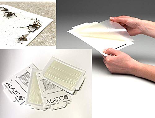 Alazco 24 Glue Traps - Excellent Quality Glue Boards Mouse Trap Bugs Insects Spiders, Brown Recluse, Crickets Cockroaches Lizard Scorpion Mice Trap & Monitor Non-Toxic Made In Usa #TOP7