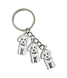 BBEART Dog Keychain, Pet Pendant Key-Ring, Cute Puppy ID Tags Metal Key Ring for Dog Lover (White Poodle)