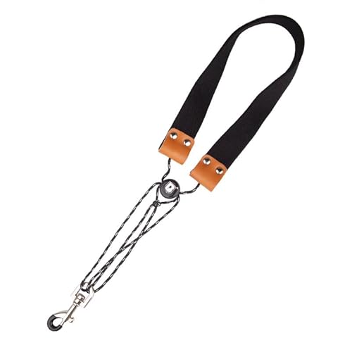 Alto tenor saxophone dǊyANZT[ lp TXy_[ lbNXgbv [hXO