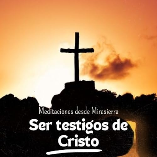 Ser testigos de Cristo