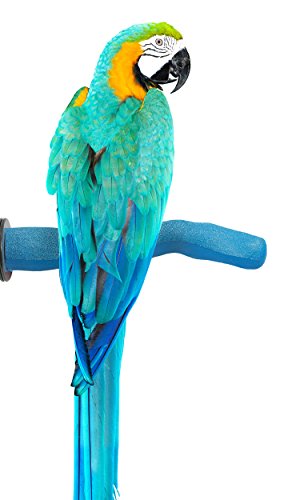 Sweet Feet and Beak Safety Pumice Perch Bird Toy - Features Real Pumice