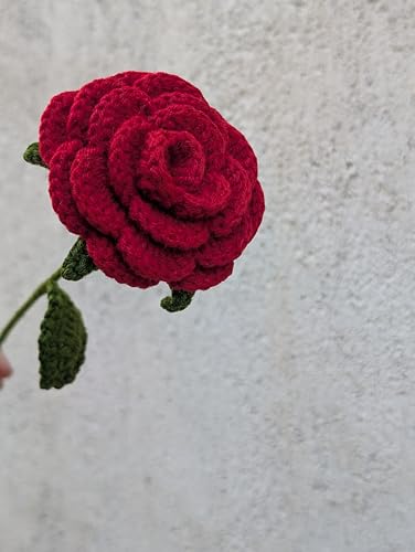 Image of Prapti Handicrafts Handmade Crochet Rose Artificial Forever Flowers for Vase, Home Decoration (2, red Rose)