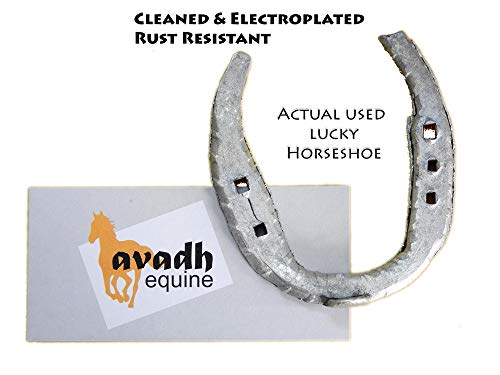 Best Horseshoe For House