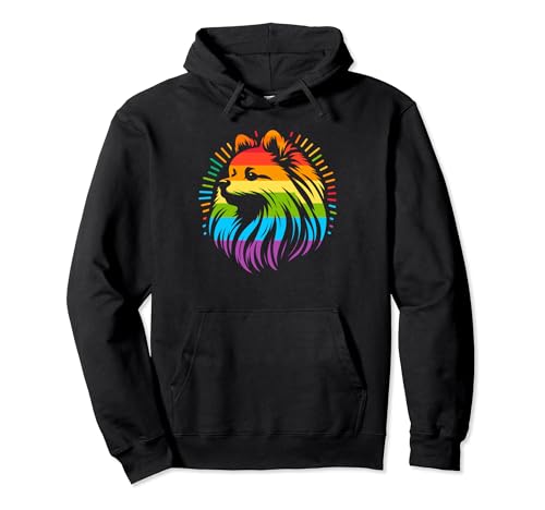 Retro Pomeranian Rainbow LGBT Lesbianas Orgullo Gay Pomerania Sudadera con Capucha