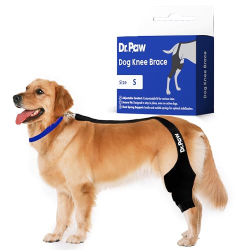 Image of Dog Knee Brace - Test Version (Small)