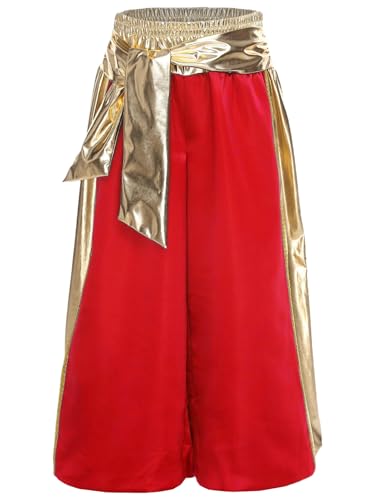 Arabian Prince Pants for Little Big Boys Sparkly Waist Loose Fit Party Wear