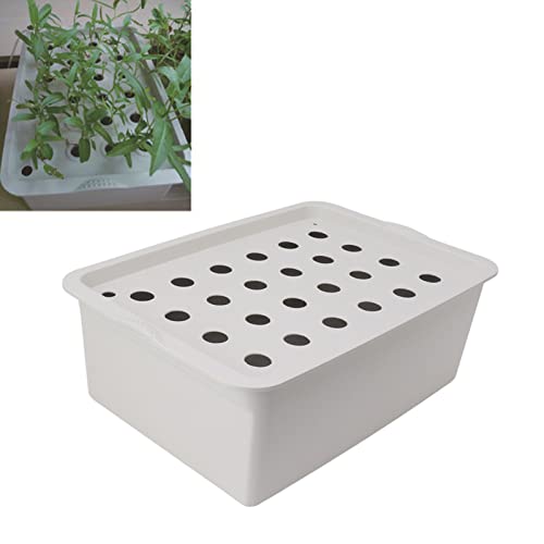 Hydroponic System Planter, Timer 24 Trou PP Gris Boîte de Croissance Hydroponique pour Jardin (Prise UE 220V)