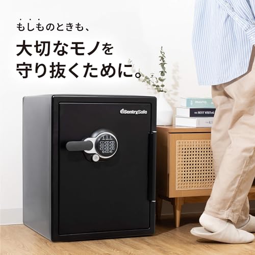 Amazon.co.jp: SENTRY(セントリー): 耐火金庫