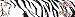 12 - Pk. Bohning 4 inch Camo Blazer Wraps, WHT TIGER