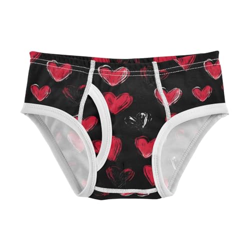 Red and Pink Hearts Black Valentine Day Toddler Boy's Underwear 2T 202b9095