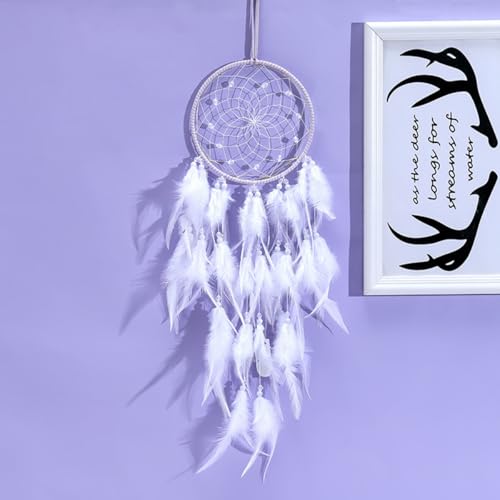 siawadeky ߖ h[Lb`[ Ǌ| H H    J^  k S  ԏ CeA  z[ p[eB[  o^Cf[ a jMtg