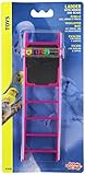 Living World Plastic Small Bird Ladder with Mirror and Bead