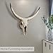 Notakia Gaobei Long Horn Cow Skull Wall Hanging Longhorn Steer Southwest Bull Skull Sculpture Resin Decoration
