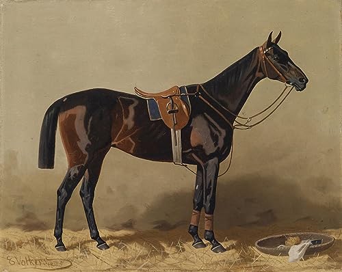 Impression d'affiches Gesatteltes Sportpferd Emil Volkers Toile 60x90cm