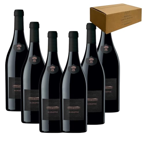 Teso la Monja – Alabaster Toro 2020| 100 % Tinta de Toro | Crianza 18 meses roble francés | 14,5 % vol. | Elegante, estructurado, persistente - 6 Botellas 75cl