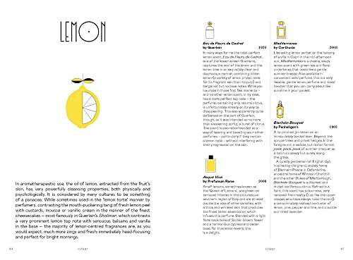 Perfume: In Search of Your Signature Scent - Image 3