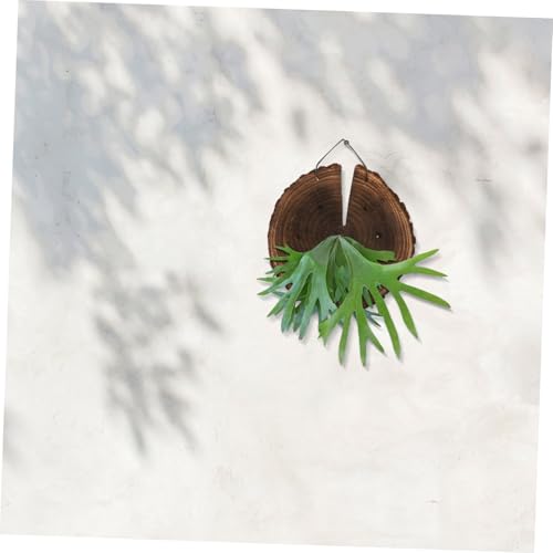 Jardinière murale en bois suspendue pour plantes et décorations intérieures