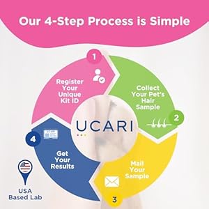 Pet Sensitivity Test | Screens for 1000+ Intolerances | Food  Environment Analysis | Painless Home Test Hair Sample Method | Results in 48 Hours | Cats  Dogs  Cucciolini Doodles Pet sensitivity test | screens for 1000+ intolerances | food  environment analysis | painless home test hair sample method | results in 48 hours | cats  dogs   cucciolini doodles