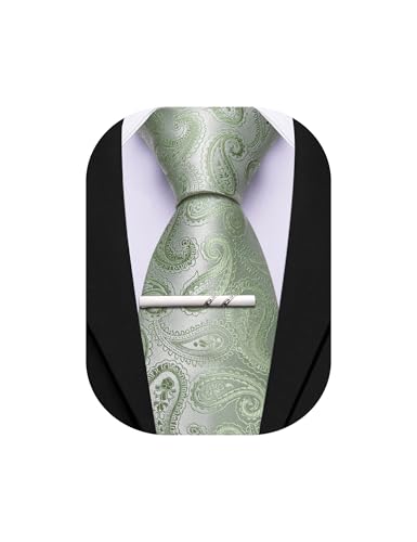 Image of Barry.Wang Paisley Tie for Men Silk Woven Necktie and Tie Clip Set Wedding Party Business Formal