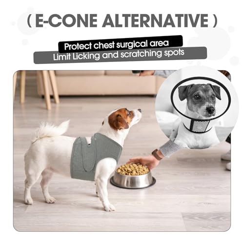 Image of BRKURLEG Chest Recovery Suit for Dogs, Chest Wound Cover, Grey S | Chest & Shoulder Protection, Breathable & Soft Anti-Licking Wound Vest, for Chest Surgery Recovery, Cone Alternative