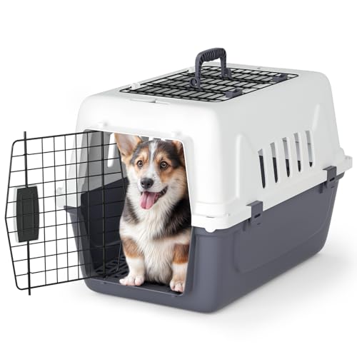Magshion 22 Inch Hard-Sided Plastic Dog Carrier, 2-Door Top-Loading Kennel for Small Dogs and Cats...