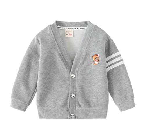 Toddler Baby Boys Long Sleeve Embroidered Cardigan Sweater Button Comfort Children's Spring Fall Winter Tops
