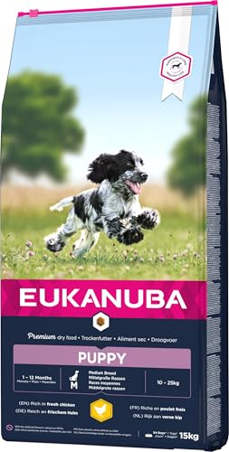 Eukanuba Welpenfutter mit frischem Huhn für mittelgroße Rassen, Premium Trockenfutter für Junior Hunde, 15 kg