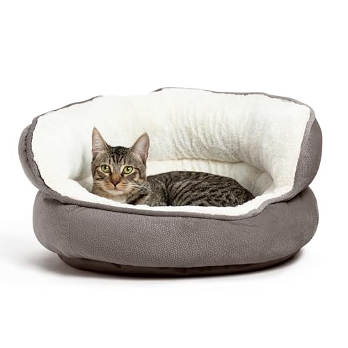 Best Friends Pet Throne Ortho Bed