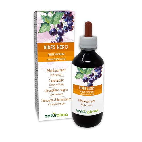Grosellero negro (Ribes nigrum) Yemoderivato sin alcohol de yemas frescas | Extracto líquido gotas 200 ml | Complemento alimenticio | Vegano
