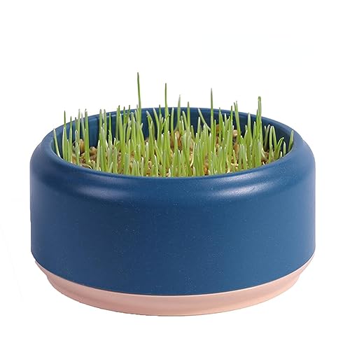 猫草プランター 猫草ボックス 栽培用 鉢 プラスチック 水耕栽培 無土壌スプラウター 猫草キット 猫スナック 猫草水耕栽培 自己散水 植物 トレー 観葉植物 ガーデントレー 猫草 栽培用の鉢 種なし 室内用 (ダークブルー)