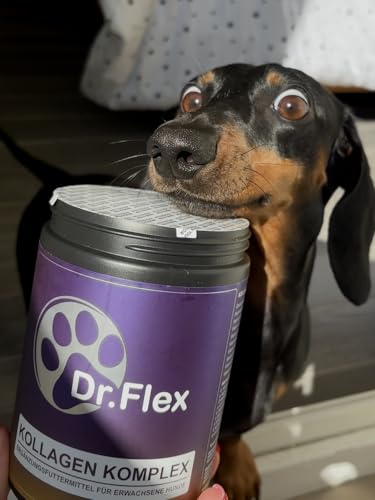 Dr. Flex Kollagen B‑Komplex Pulver für Hunde, Hochdosiert für Gelenke, Knorpel, Muskeln Vitalität mit Rinder Meereskollagen, Glucosamin, Hyaluronsäure essenziellen Vitaminen