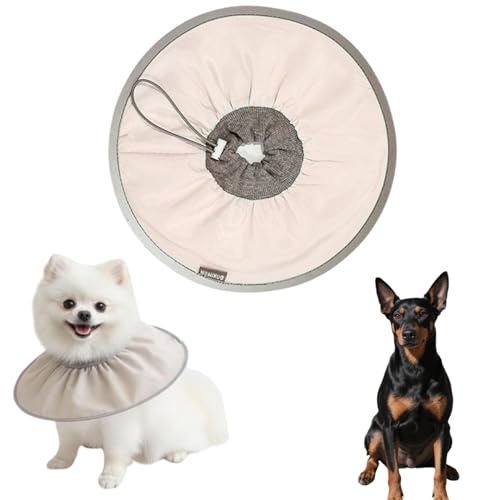 Lifetips}`FX^[eA }`FLp GUxXJ[ h \tg y pPA ی Ȃߖh~ p EȒP 􂦂 PAJ[(RRAej(Lj