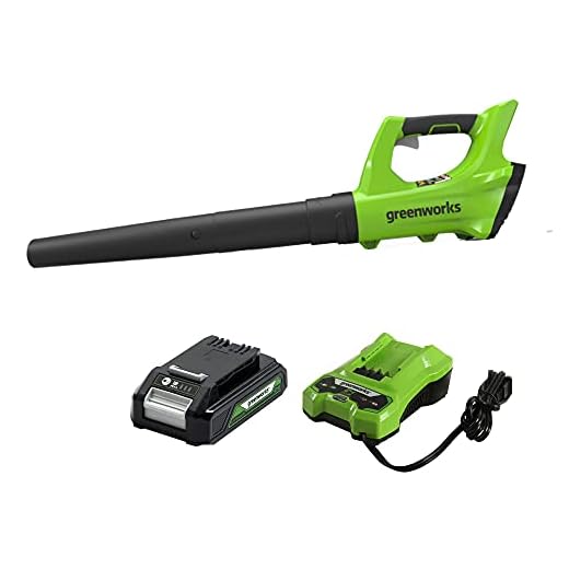 Greenworks 24V Cordless Jet Leaf Blower, 2.0Ah Battery and Charger Included 2400702