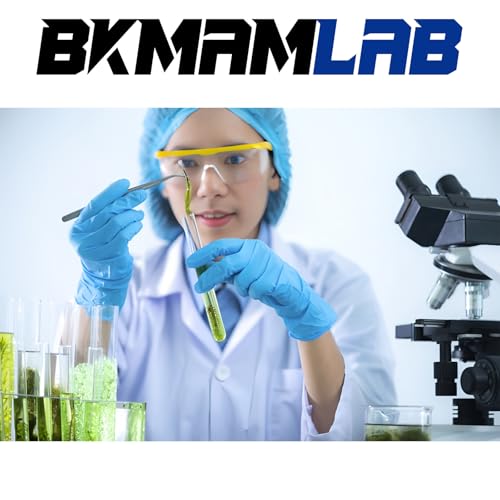 View 3