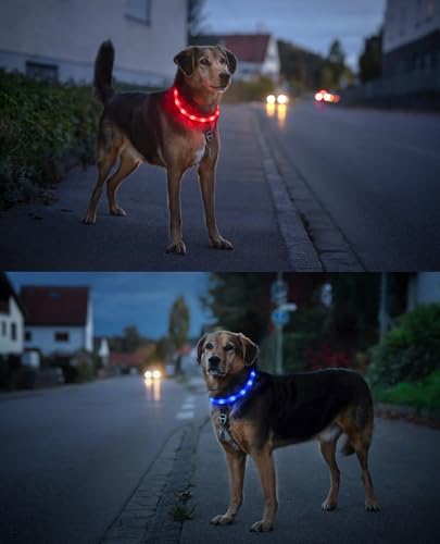 PRECORN 2 Stück LED Silikon Hundehalsband Leuchtend | Rot und Blau | Sicherheits-Halsband Hund | Hunde Leuchthalsband Set aufladbar USB-C | Individuell kürzbar